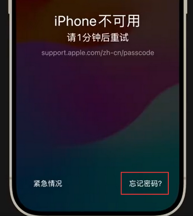 西丰苹果手机密码维修分享iPhone忘记了刚设置的密码 