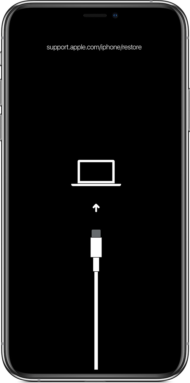 西丰苹果手机维修分享iPhone 输入锁屏密码出现方框，且原密码不正确怎么办 